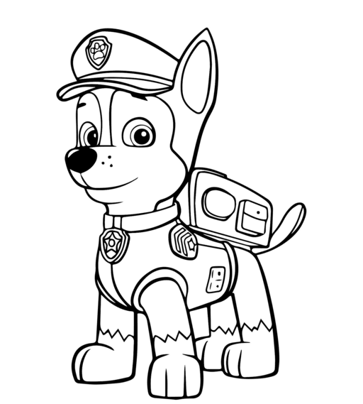 Paw Patrol_Book_6